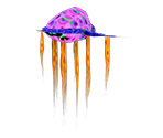 Jellyfish Purple