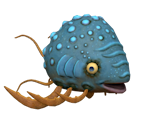 Pouchfish