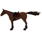 Horse (Test)