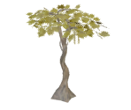 Elemental Fruit Tree
