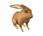 Ragout Rabbit