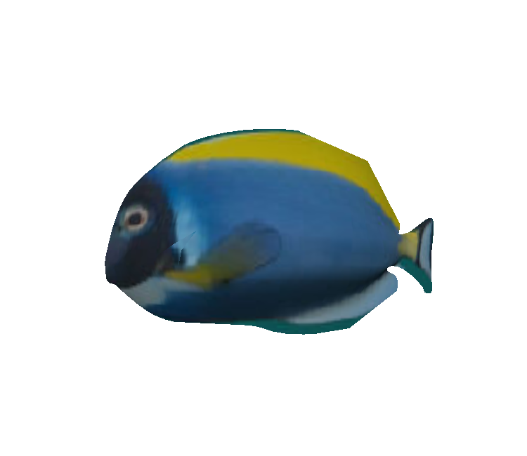 Pc Computer Roblox Floppy Fish The Models Resource - roblox coral reef simulator