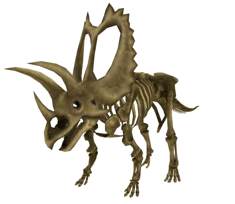 pentaceratops fossil