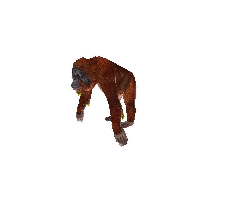 Zoo Zoo