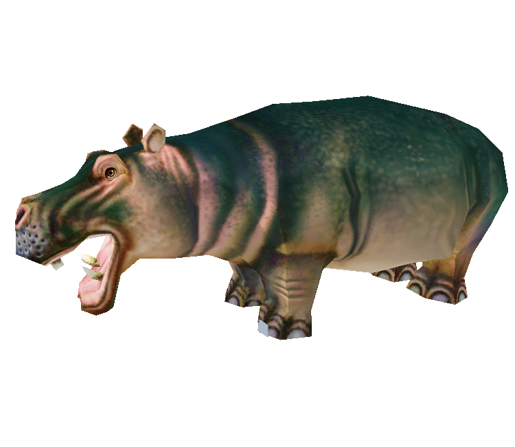 Zoo Tycoon 3: Hippopotamus 