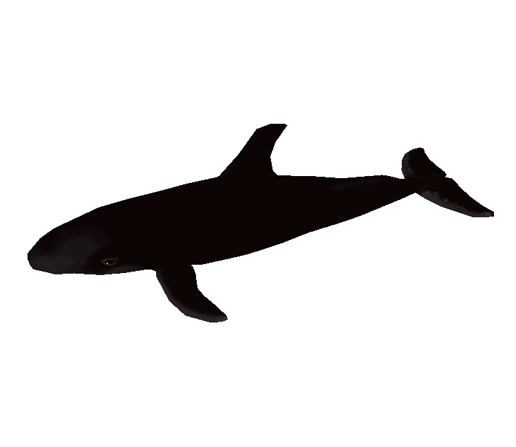 PC / Computer - Zoo Tycoon 2 - False Killer Whale Female - The Models ...