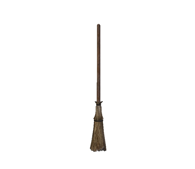 File:Broom Creeper (6425158789).jpg - Wikimedia Commons
