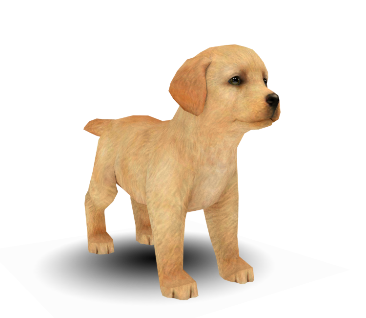 3DS - Nintendogs   Cats - Labrador Retriever - The Models Resource