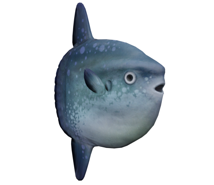 Blobfish, Animal Crossing Fan Wiki