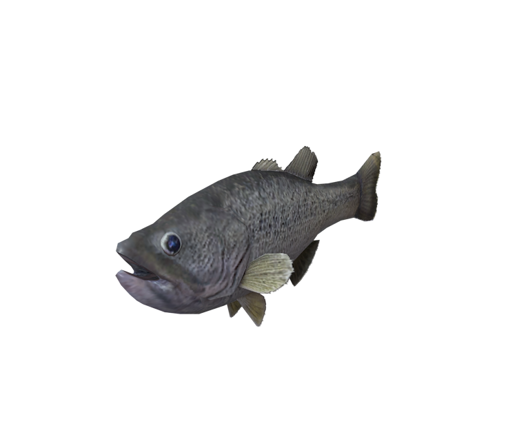 Wii - Fishing Resort - Bass - The Models Resource