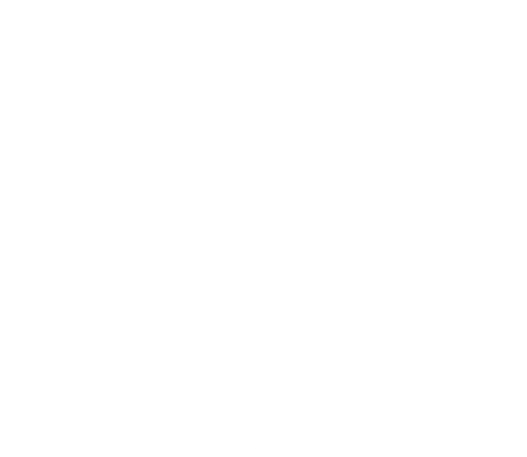 Download Zip Archive