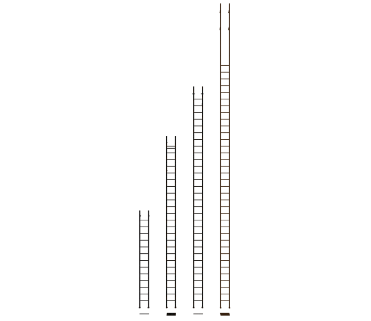 Download Zip Archive
