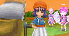 Dragon Quest IX: Sentinels of the Starry Skies