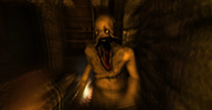 Amnesia: The Dark Descent