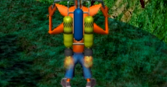 Crash Bandicoot & Spyro Adventure World