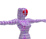 Fighting Wireframe (Female)