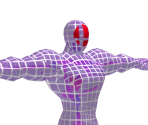 Fighting Wireframe (Male)