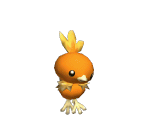 Torchic