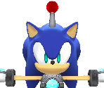 Sim Sonic
