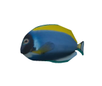 Floppy Fish