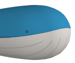 #321 Wailord