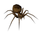 Spider (Large)