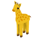 Giraffes