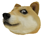 Doge