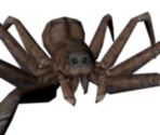 Aragog