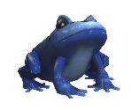 Double Damage Frog