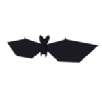 Bat