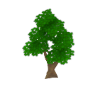 Basic Tree 2