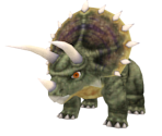 Triceratops