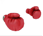 Boxing Gloves