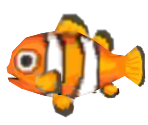 Clownfish