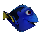 Dory