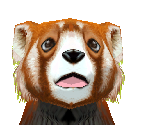 Red Panda