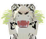 White Bengal Tiger