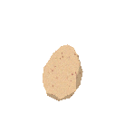 Greater Flamingo Egg