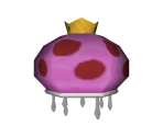 Queen Jellyfish