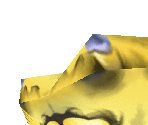 Golden Deepsea Crab