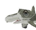 Scalloped Hammerhead Shark Baby