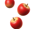 Apple Trophy