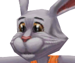 Bunny