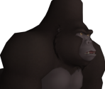 Kerchak