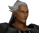 Ansem (Organization Clothes)