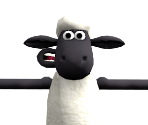 Shaun