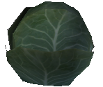 Cabbage
