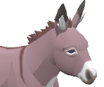 Donkey