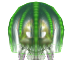 Brain Squid